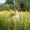 ���� �����, �������, 64 ���� - ��������� 30 ������� 2016 � ������ ���� ����������