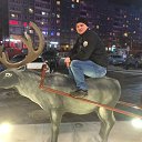 ���� �������, �����-���������, 37 ��� - ��������� 1 ���� 2016 � ������ ���� ����������