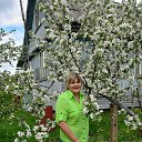  , -, 53  -  22  2016    2016