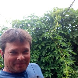 ���� ��������, ������� - ��������� 12 ���� 2016