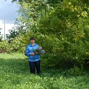 �������� �� ������� ���� �� ������� ������� 2016�