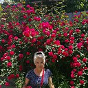 ���� ��������, ������, 65 ��� - ��������� 5 ������ 2016 � ������ ���� ����������