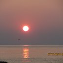 ���� ���������, ������� - ��������� 25 ������� 2016 � ������ ���� ����������