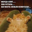 ���� Alekcandr, ������ - ��������� 20 ��� 2016 � ������ ���� ����������