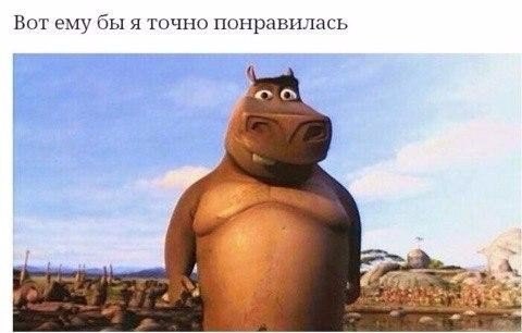 ������� ������ - 15 ���� 2016 � 14:11