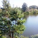 ���� Olga, ���� - ��������� 16 ���� 2016 � ������ ������ ������