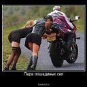 ���� �������, ����, 59 ��� - ��������� 14 ���� 2016 � ������ ������ ��������