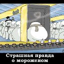 ���� ����, �������� - ��������� 3 �������� 2016 � ������ ��� ��� ������)�