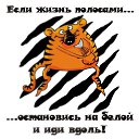 ���� ������, �����-���������, 61 ��� - ��������� 2 ������� 2016 � ������ ������ ��������