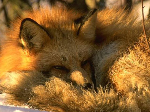   - 14  2016  16:07 - 6