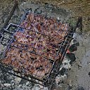 ���� ������ �������� �����, ������ - ��������� 9 ������� 2016 � ������ ���� ����������