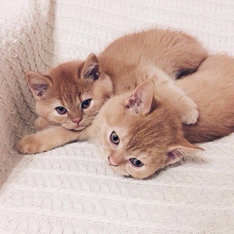 ��� ������ ������������!