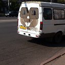 ���� �����, ����, 46 ��� - ��������� 4 ���� 2016 � ������ ������ ��������