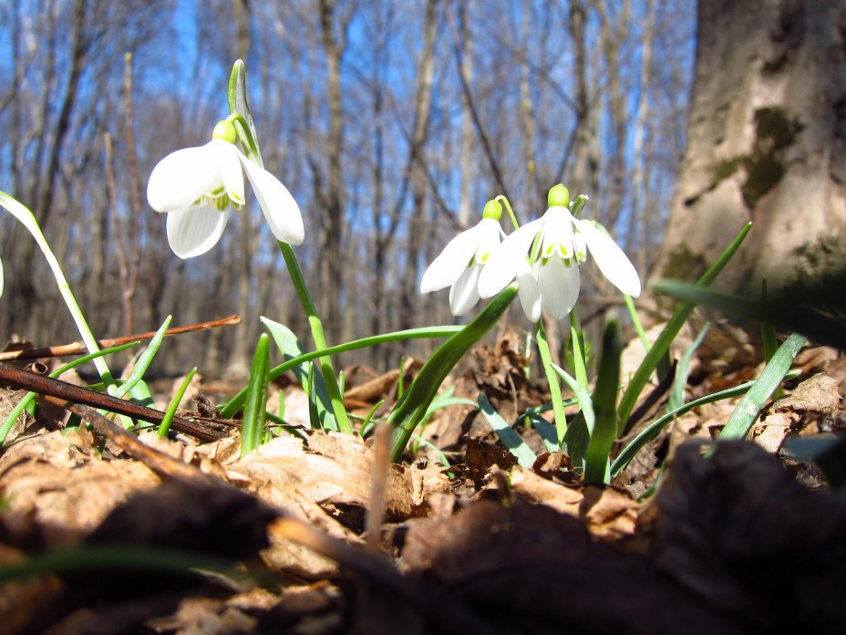 � �������� �����!!! ����! �������! ���������� ��! ������ �������� �����, Ҹ����� ����� ��������� � ...