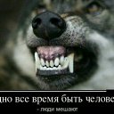 ���� �������, ������-��-����, 50 ��� - ��������� 13 ���� 2016 � ������ ���� ����������