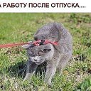 ���� ������, ��� - ��������� 19 ���� 2016 � ������ ������ ��������