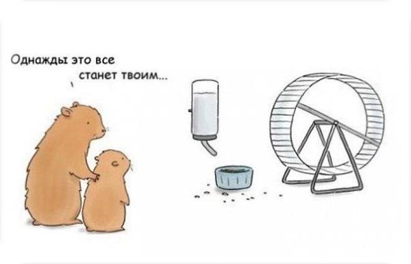 То, что называют "прогрессом", опустило человека гораздо ниже живущего на свободе ...