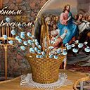 ���� ���� 92, ���� - ��������� 24 ������ 2016 � ������ ������ ��������