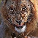 ���� �����, �������� - ��������� 5 �������� 2016 � ������ ������ ��������