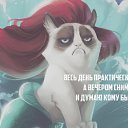 ���� �����, �������� - ��������� 7 ������� 2016 � ������ ���� ����������