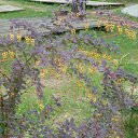  ,  -  24  2016   &quot;  &quot;.. 2016