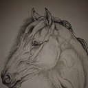 ���� �������, �������, 48 ��� - ��������� 12 ����� 2016 � ������ ���� ����������