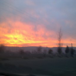 ���� Qobil, ������� - ��������� 15 ���� 2016