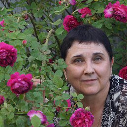 ���� �������, ������, 69 ��� - ��������� 21 ���� 2016