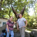 ���� �������, ��������� - ��������� 5 ������� 2016 � ������ ���� ����������