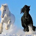 ���� ����, ����������, 48 ��� - ��������� 30 ������� 2016 � ������ ���� ����������