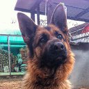 ���� �����, ������, 63 ���� - ��������� 24 ������ 2016 � ������ ���� ����������