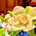  ,  -  14  2016     11-    6  ӻ