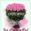���� �������, ������, 76 ��� - ��������� 22 ������ 2016 � ������ ������ ��������