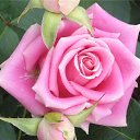 ���� �, ����� - ��������� 28 ���� 2016 � ������ ���� ����������