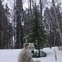 ���� �������, ����������, 50 ��� - ��������� 16 ������ 2016 � ������ ������������� ������!!!�