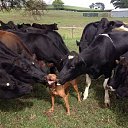 ���� ���������, ������, 64 ���� - ��������� 24 ������� 2016 � ������ ���� ����������