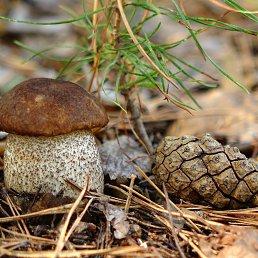 ���� �����, ������������, 59 ��� - ��������� 1 ������� 2016