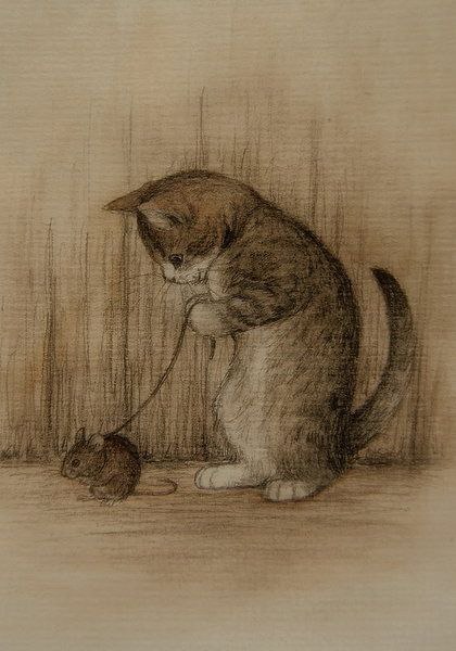 CATS OF ALL - 30  2016  16:34