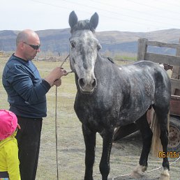 �������, ����������, 56 ���