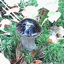 ���� �������, �����-���������, 47 ��� - ��������� 13 ��� 2016 � ������ ���� ����������