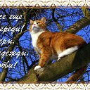 ���� Galina, ������� - ��������� 31 ��� 2016 � ������ �������� ��������