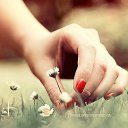 ���� �������, ������������, 61 ��� - ��������� 21 ������ 2016 � ������ ������ ��������