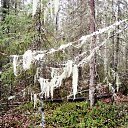 ���� ������, �����, 65 ��� - ��������� 2 �������� 2016 � ������ ������ �������� 2015�.�