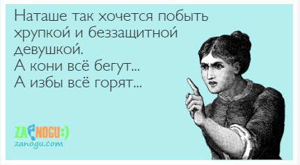  - 11  2016  20:08