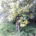 ���� Fredi, ����, 41 ��� - ��������� 18 ��� 2016 � ������ ���� ����������