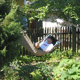 ���� ����, �����-���������, 42 ���� - ��������� 17 ��� 2016