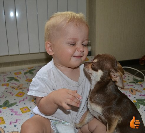 �������� �������! - 7 ������� 2016 � 19:42