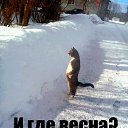 ���� ������, ������, 47 ��� - ��������� 5 ������ 2016 � ������ ���� ����������