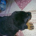 ���� ���������, �������, 39 ��� - ��������� 2 ������� 2016 � ������ ���� ����������