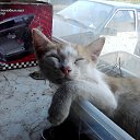 ��� � ��� - �� ��� ����. �� ������� ���� ����������